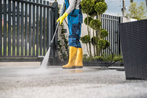 Best Vinyl Siding Pressure Washing in Piedmont, CA